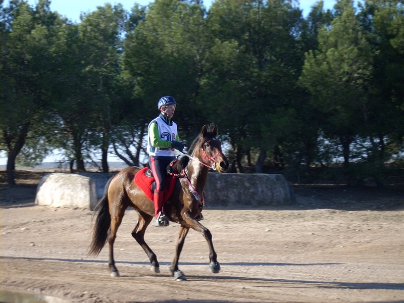 El jinete Navarro PACO AYESTARÁN, ganador del I Raid AGM en Zaragoza